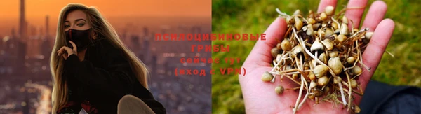 мдпв Кинешма