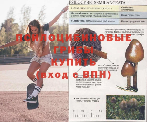 марки lsd Киров