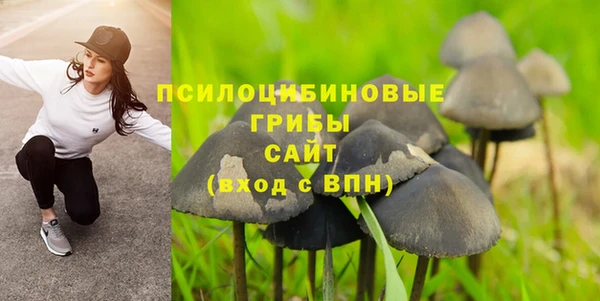 тгк Козловка