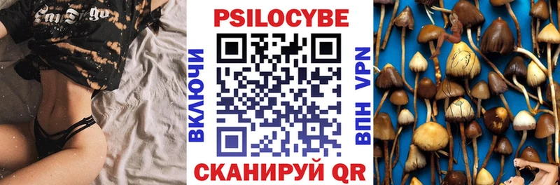 Галлюциногенные грибы Psilocybe купить цена Называевск